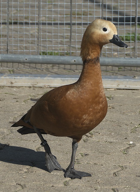 此沉寂