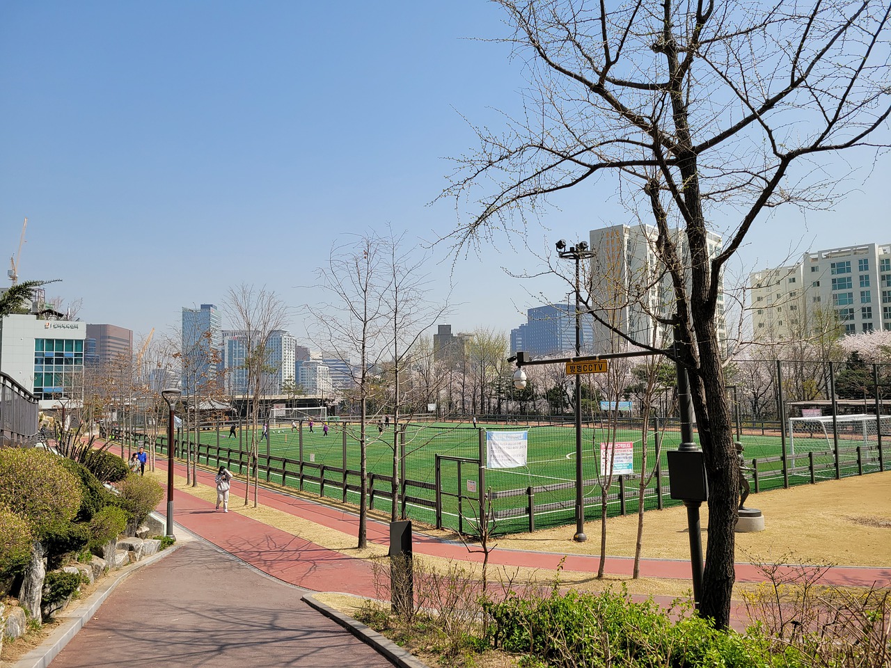 对格林表示